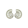 Aretes Conchis
