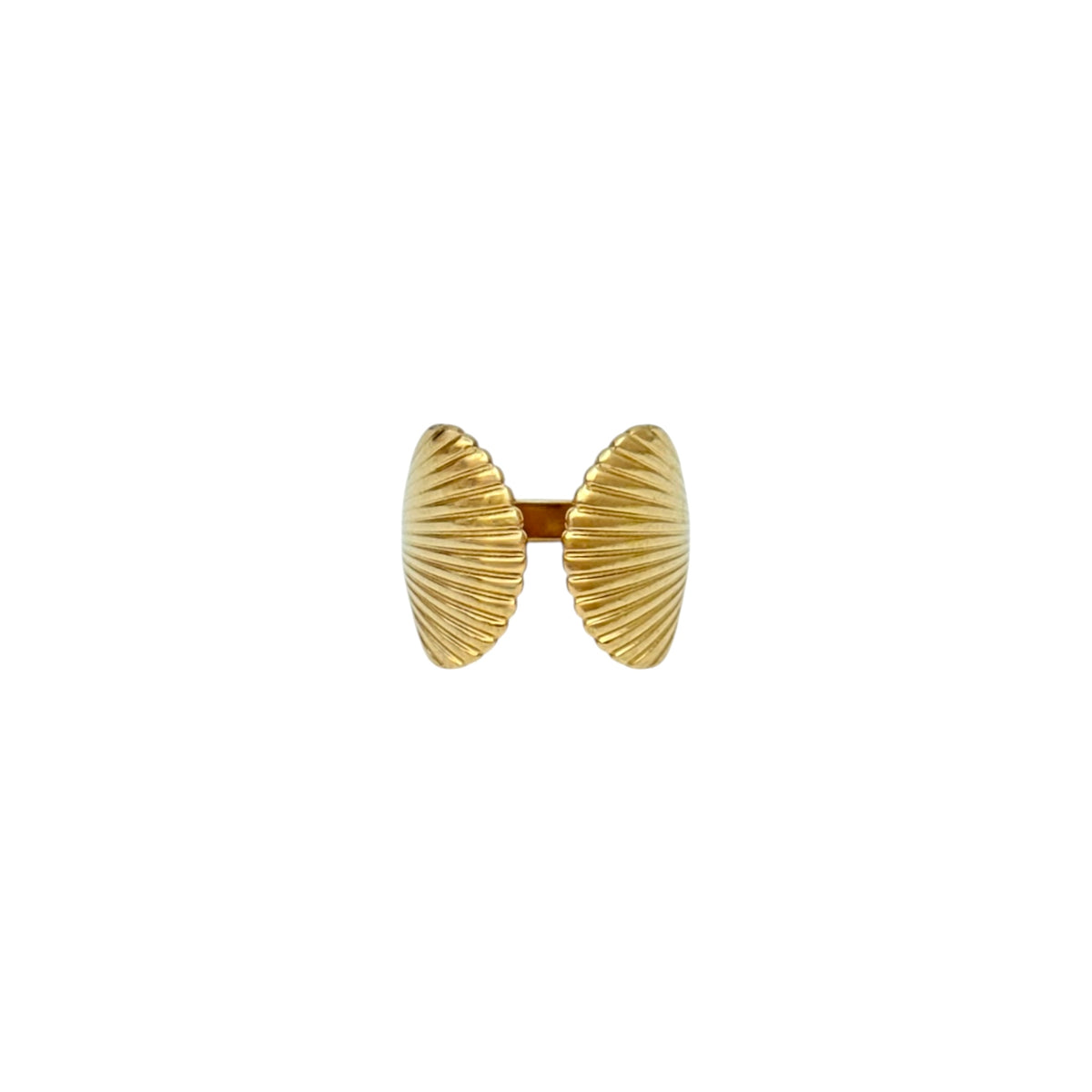 Anillo Conchas